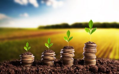 Money is born soil in the bottom of the plantations. Agribusiness profit land value and agricultural startups